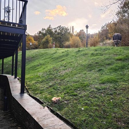 Villa R'Arco - Tucasaenlospirineos Escarrilla Esterno foto